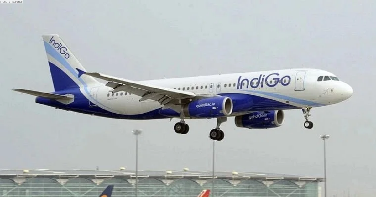 Indigo flies passenger to Udaipur instead of Patna, inquiry ordered